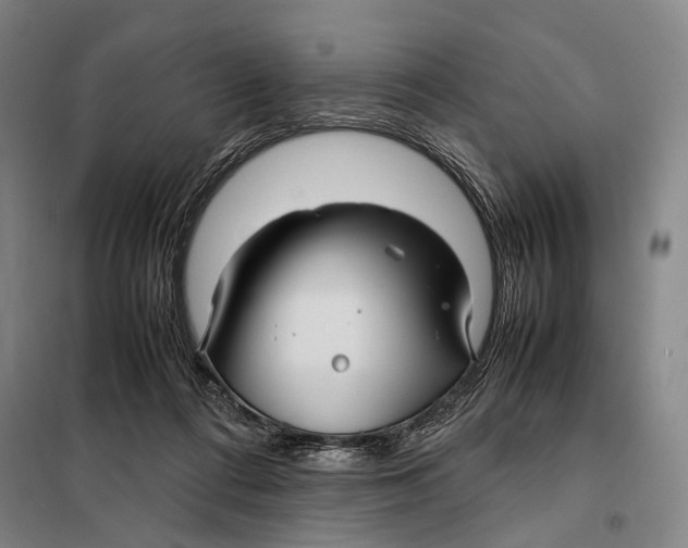 X0000097920312200804041530