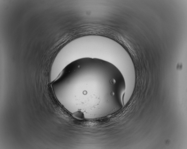 X0000097920313200804041530