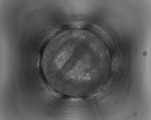 X0000097920314200804041530