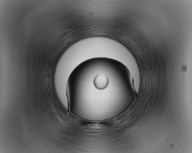 X0000097920316200804041530