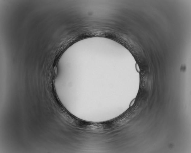 X0000097920317200804041530