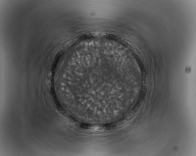 X0000097920319200804041530