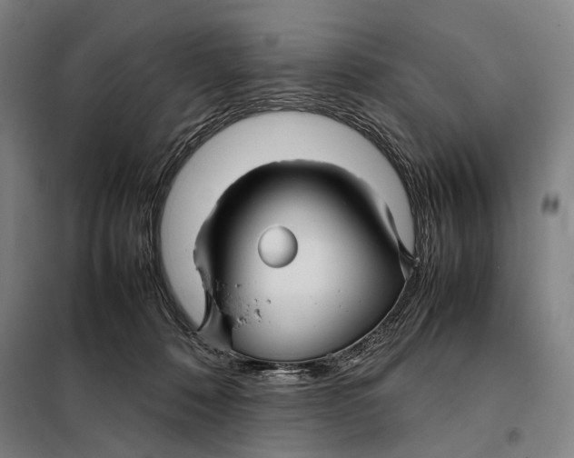 X0000097920320200804041530