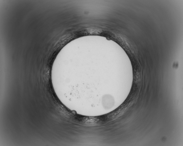 X0000097920321200804041530