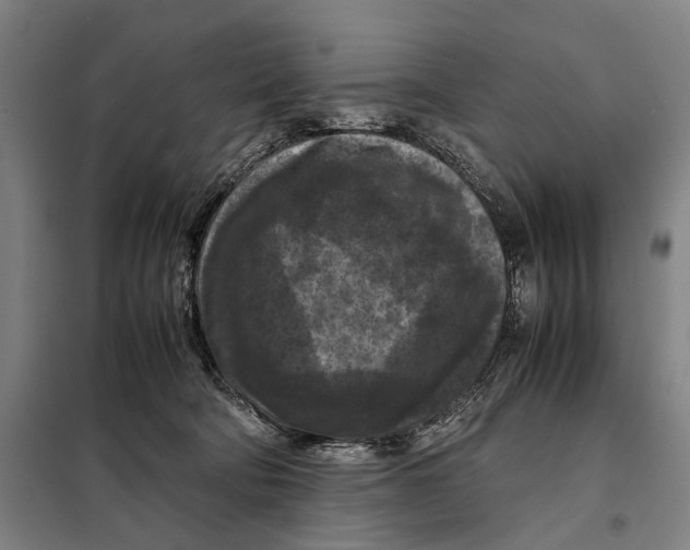 X0000097920322200804041530