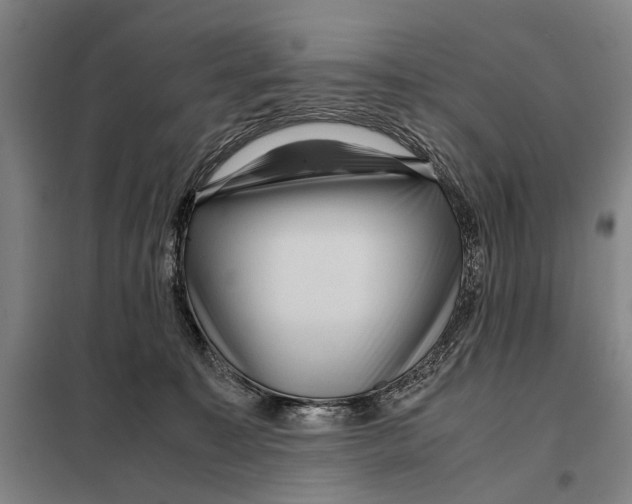 X0000097920323200804041530