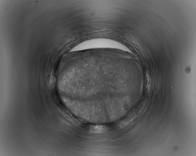 X0000097920324200804041530