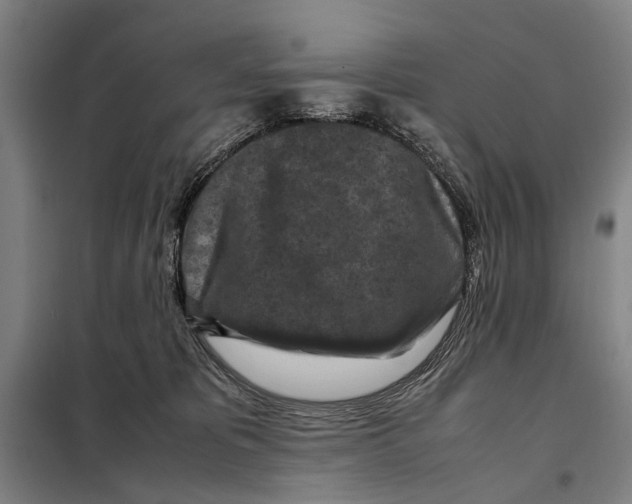 X0000097920325200804041530