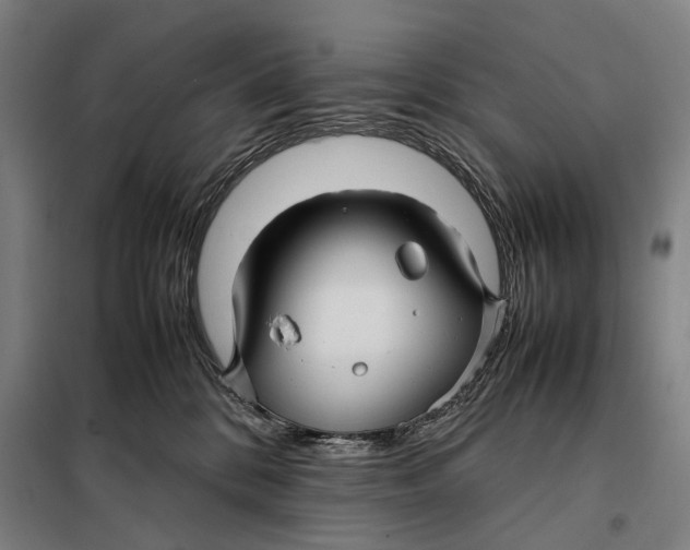 X0000097920328200804041530