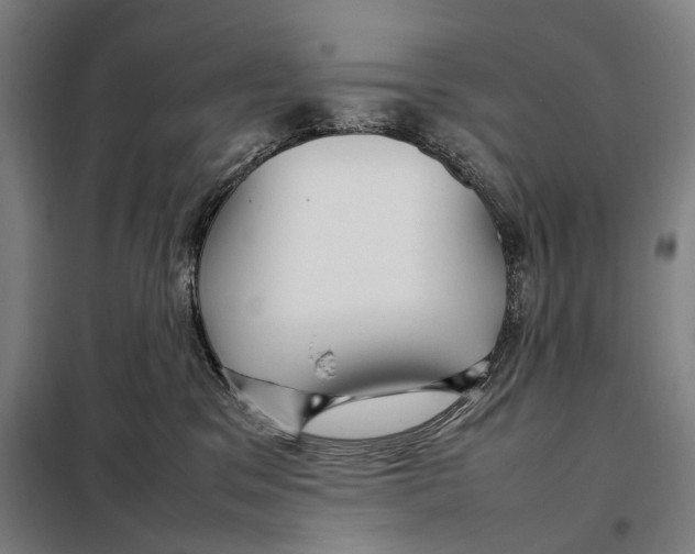 X0000097920329200804041530