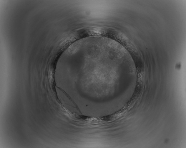 X0000097920331200804041529