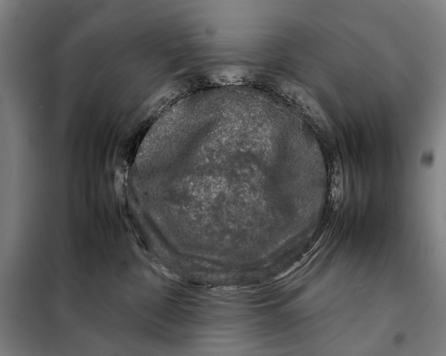 X0000097920332200804041529