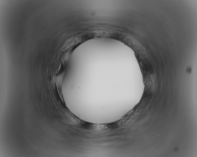 X0000097920333200804041529