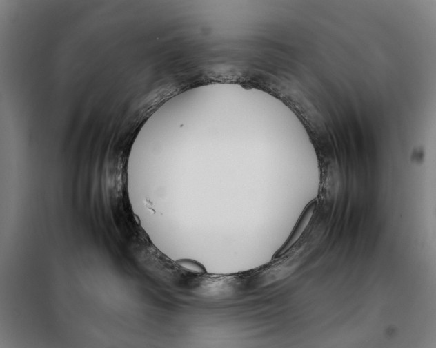 X0000097920334200804041529