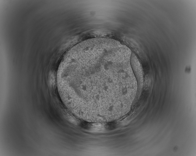 X0000097920335200804041529