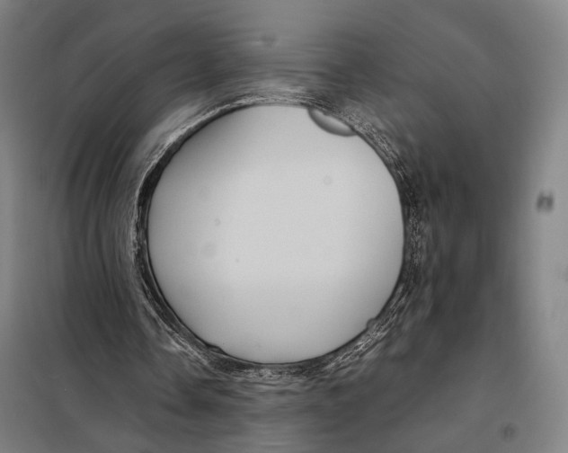 X0000097920338200804041529