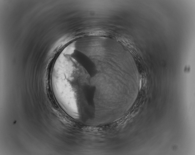 X0000097920339200804041529