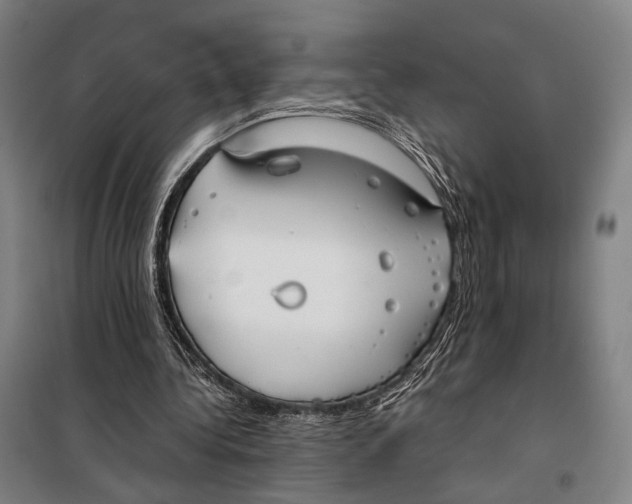 X0000097920340200804041529