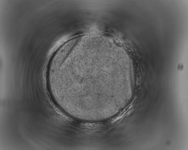 X0000097920341200804041529