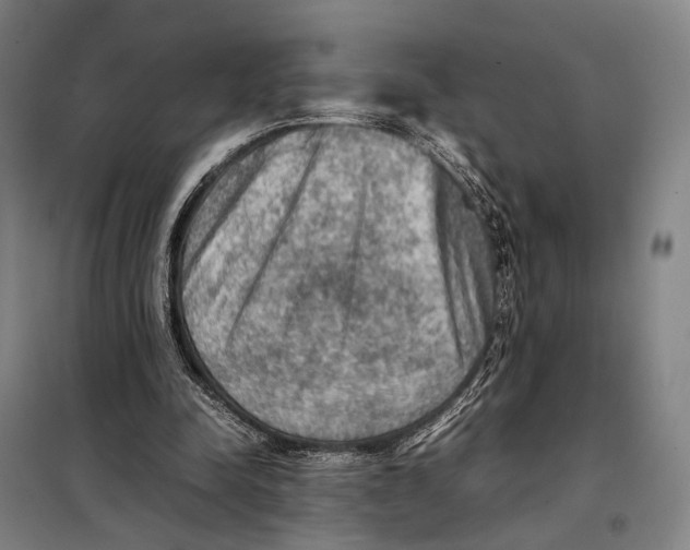 X0000097920342200804041529