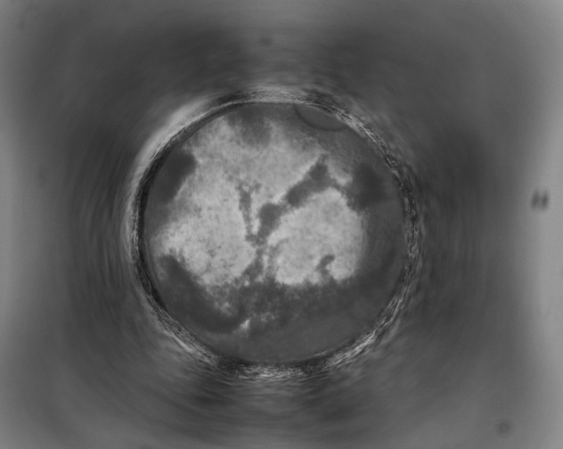 X0000097920343200804041529