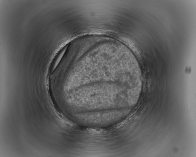 X0000097920346200804041529