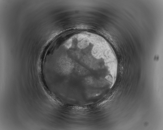 X0000097920347200804041529