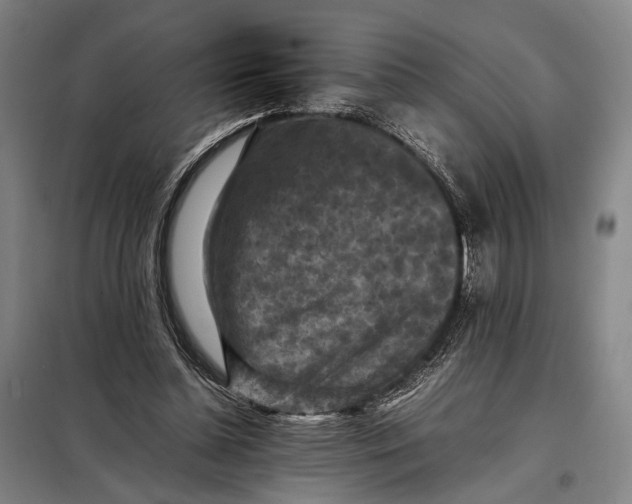 X0000097920348200804041529