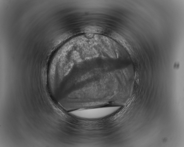 X0000097920349200804041529