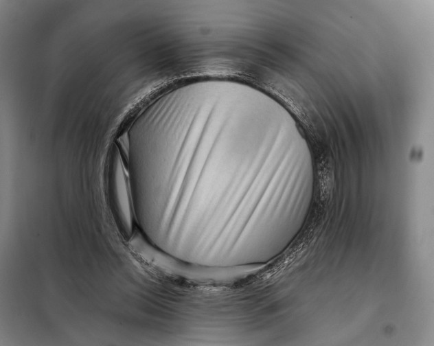 X0000097920350200804041529