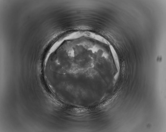 X0000097920351200804041529