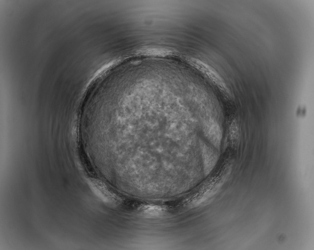 X0000097920352200804041529