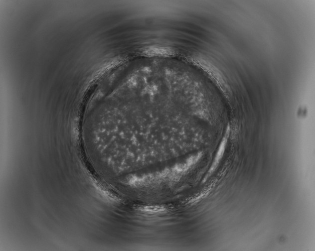 X0000097920353200804041529