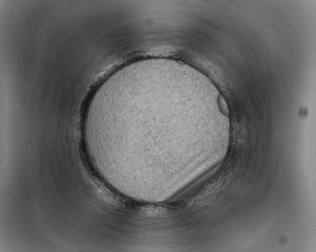 X0000097920354200804041529