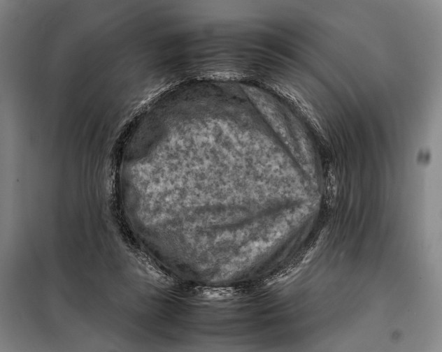 X0000097920355200804041529