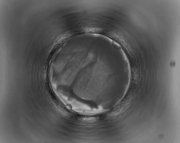 X0000097920357200804041529