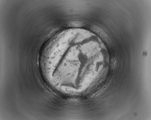 X0000097920358200804041529