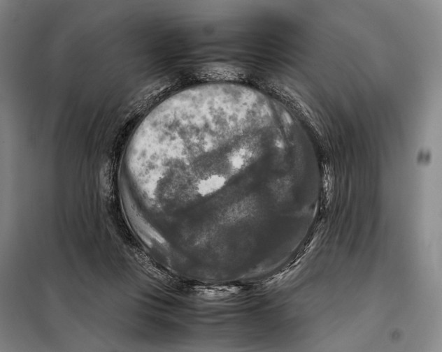 X0000097920359200804041529