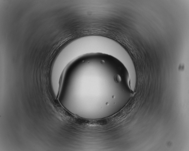 X0000097920360200804041529