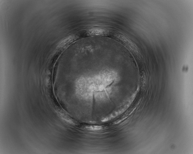 X0000097920361200804041529