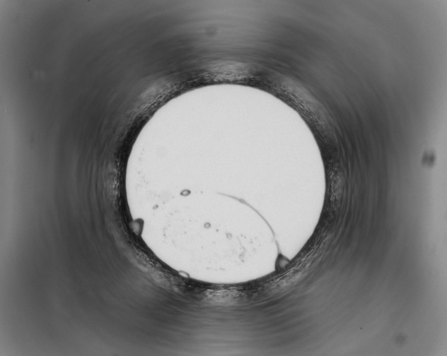 X0000097920362200804041529