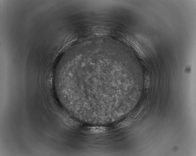 X0000097920363200804041529