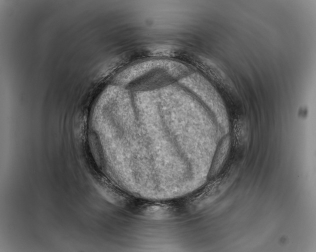 X0000097920364200804041529