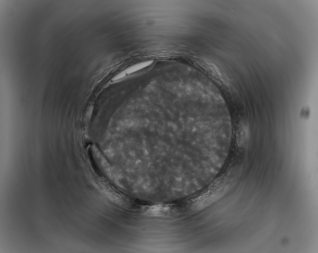 X0000097920366200804041529