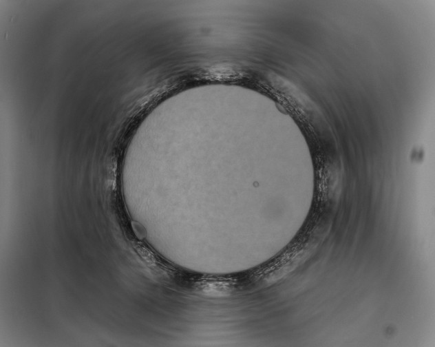 X0000097920368200804041529