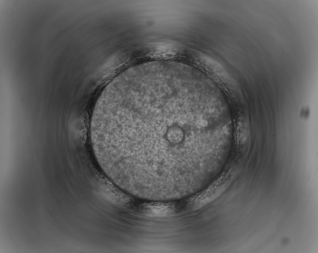 X0000097920370200804041529