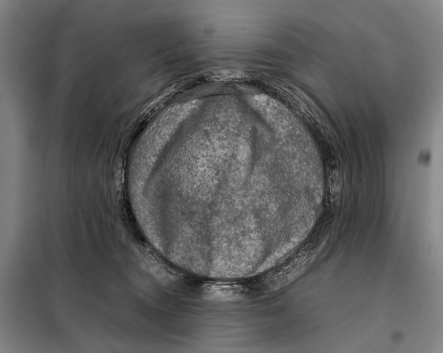 X0000097920372200804041529