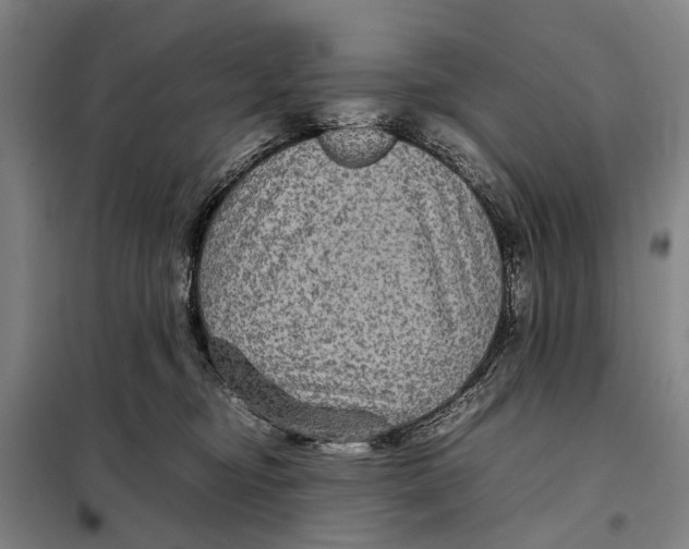 X0000097920374200804041529