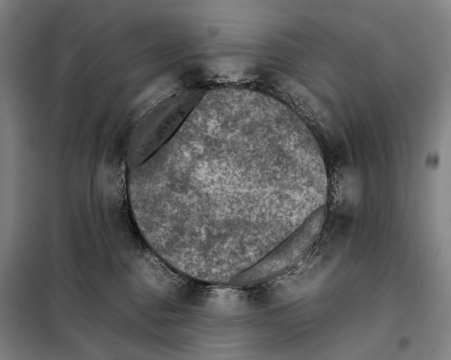 X0000097920376200804041529