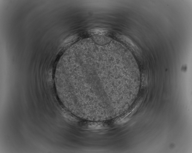 X0000097920377200804041529